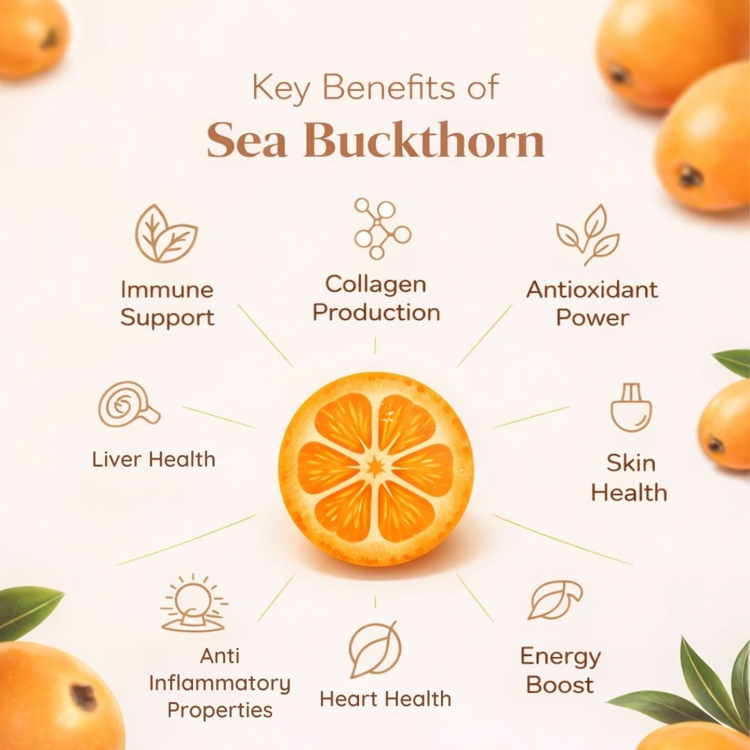 Sea Buckthorn Daily Wellness Kit - Concentrate & Capsule