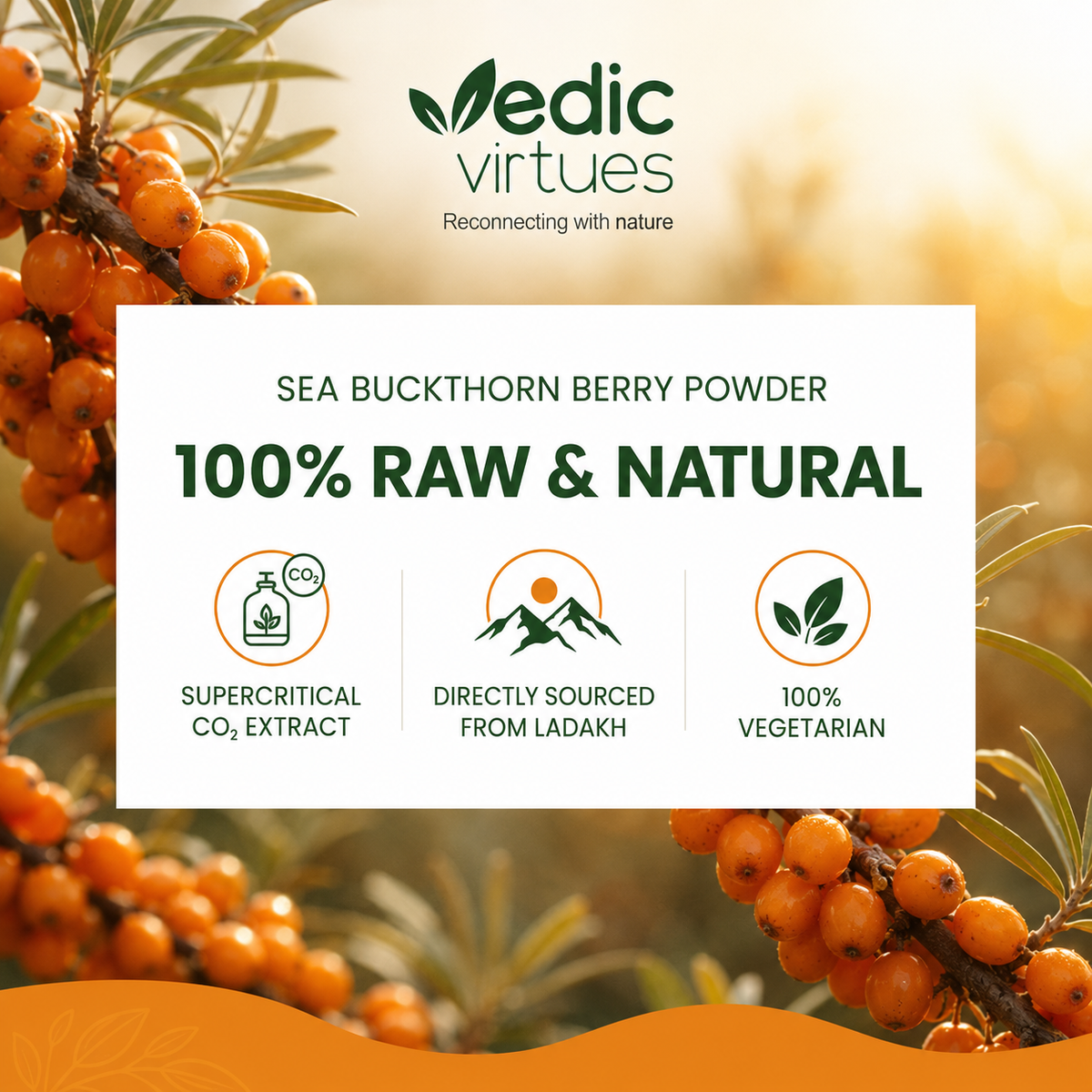 Sea Buckthorn Daily Wellness Kit - Concentrate & Capsule