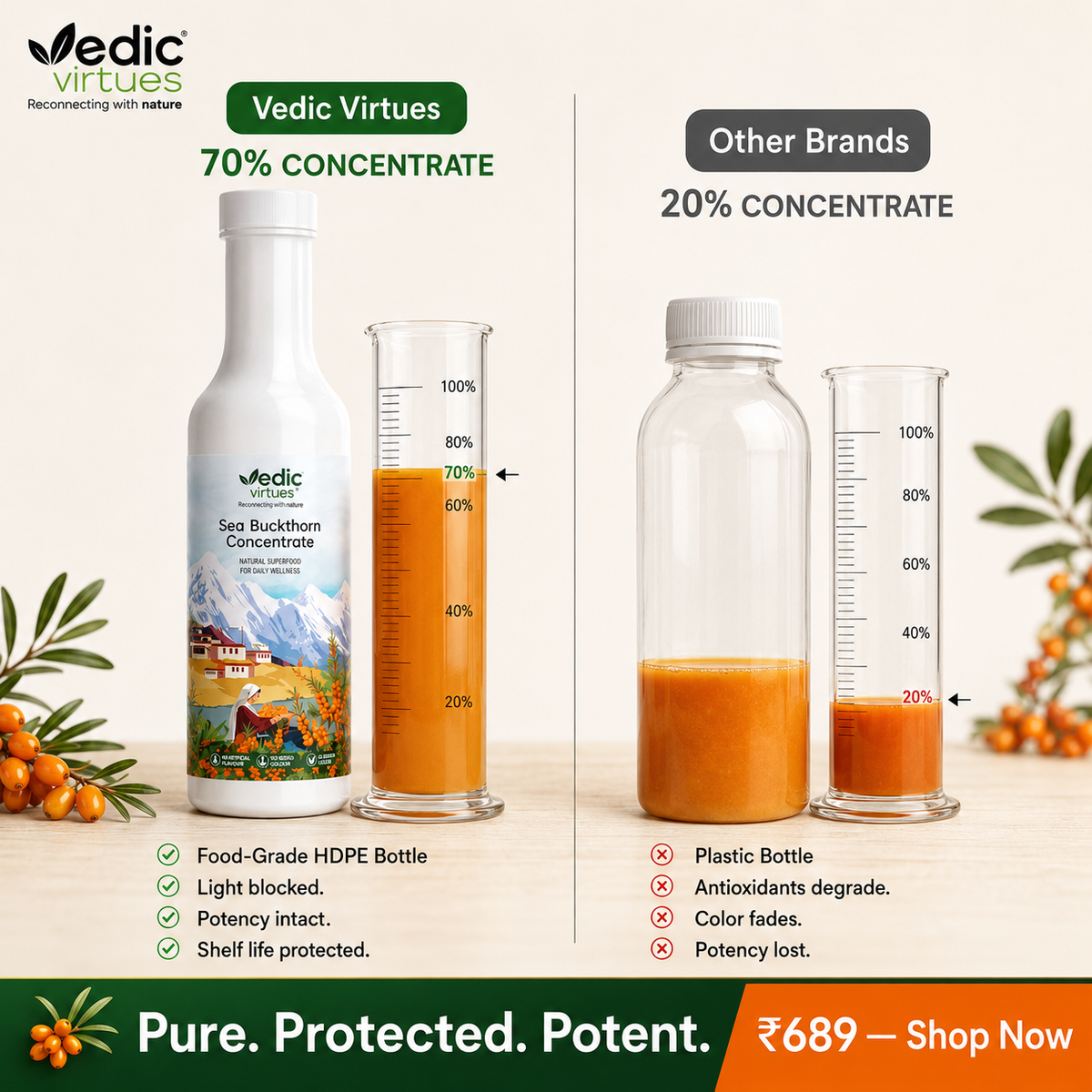 Sea Buckthorn Daily Wellness Kit - Concentrate & Capsule