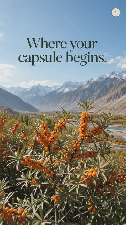 Himalayan Sea Buckthorn Oil Capsules